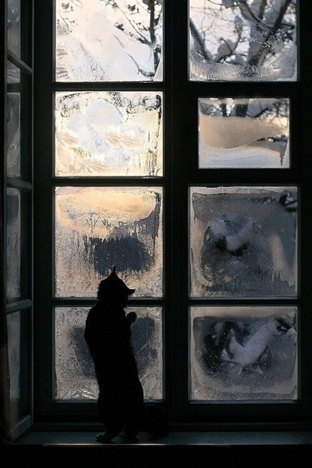 Окно зима