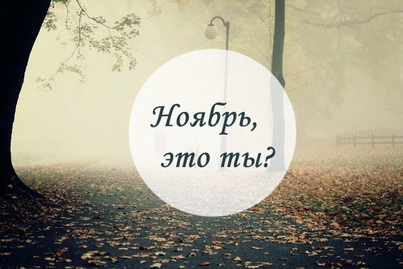 Открытки, смешные картинки на ноябрь