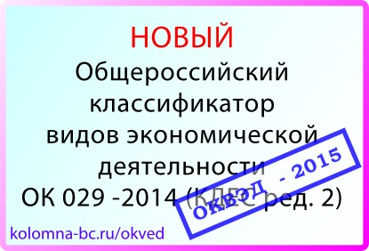 Общероссийский классификатор 029 2014. ОКВЭД 2 бухгалтерские услуги. ОКВЭД 2 пандус. Вид деятельности ИП 5499. ОКВЭД 2021 2929881.