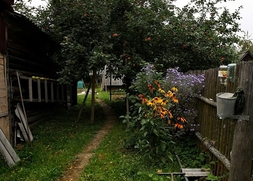 Сельский Двор Картинки