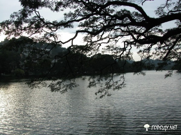 Река.
Просто хорошее фото =)

#река #природа #мир #дерево #пейзаж
#мирвокруг_ГородуНет

http://городу.net/photo-id-124.html