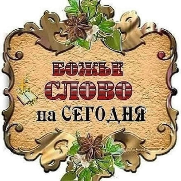 И видел я, что вы согрешили против Господа, Бога вашего, сделали себе литого тельца, скоро уклонились от пути, которого держаться заповедал вам Господь (Втор. 9:16).

Землетрясение происходит внезапно. Торнадо появляется из ниоткуда. Резкое похолодание наступает неожиданно. 

Мы часто так воспринимаем катастрофические природные явления. Но они происходят в результате многих факторов, проявляющихся с течением времени. Ураган, причиняющий так много вреда, образовывается долгое время и вызывается сложными процессами и метеорологическими условиями.

Однажды Моисей напомнил израильтянам об их серьезном духовном падении: «Скоро уклонились от пути, которого держаться заповедал вам Господь» (Втор. 9:16). Он обратил внимание на то, что они «скоро» ушли с пути. Скитаясь по пустыне, народ остановился у подножия горы Синай, ожидая, пока Моисей проведет время в присутствии Бога. Не дождавшись его, они совершили грех, отступили от Бога. С одной стороны, это произошло быстро. Всего за несколько недель Божий народ ушел от присяги на верность Богу к поклонению золотому тельцу.

Однако, с другой стороны, они шли к этому отступничеству долгое время. Израиль много лет жил в языческой среде. Безусловно, это оказывало  влияние на израильтян. Невозможно лежать на песчаном пляже так, чтобы к тебе не прилип песок. Семена бунта зрели в них продолжительное время. Их отступничество, казалось, произошло быстро, потому что они совсем недавно посвятили себя служению Богу; но этот процесс можно считать медленным, поскольку грех израильтян был жатвой, созревшей из семян, посеянных задолго до этого.

Если наша христианская жизнь постепенно разрушается подобно тому, как древесина уничтожается термитами, то падение, готовившееся долгое время, может произойти внезапно. Наша защита от такого внезапного, но постепенного падения — это подчинение Христу,то есть концентрация на Его словах и приведение этих принципов в нашу жизнь.
Если вы отдали свое сердце Иисусу, Он будет хранить вас на Своем пути. Ежедневно доверяйте себя Богу, чтобы не испытать «внезапного» падения.