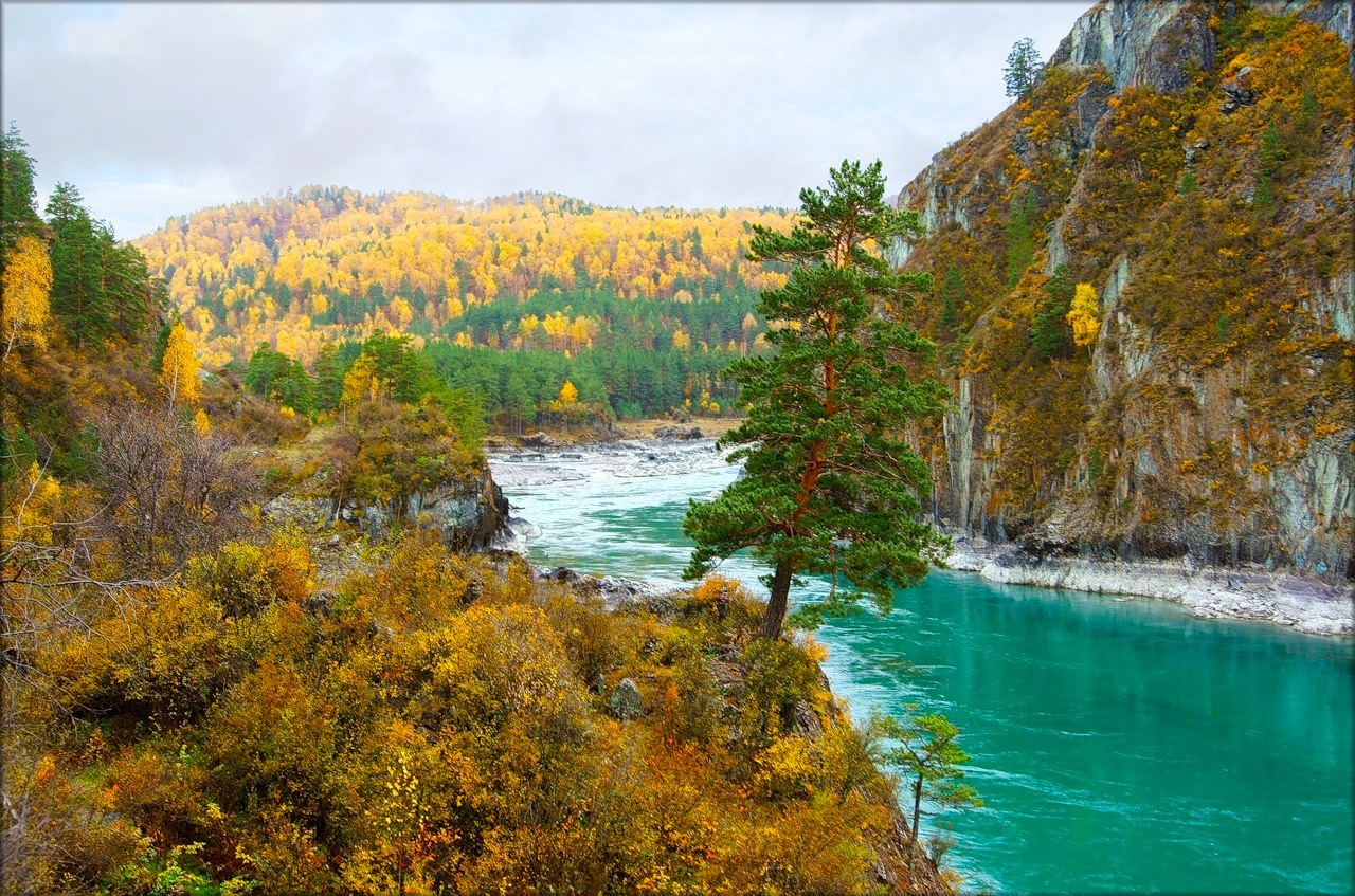 Катунь Козья тропа