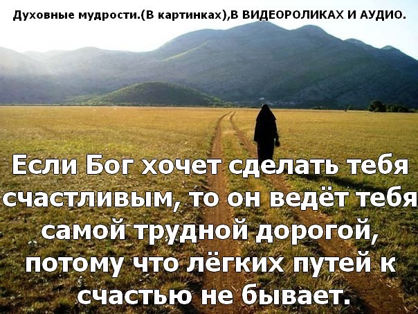 С днем друга картинки с мудростью