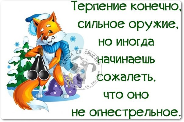 Днем, терпения вам картинки смешные