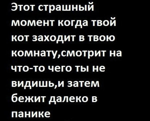 В твоей спальне текст