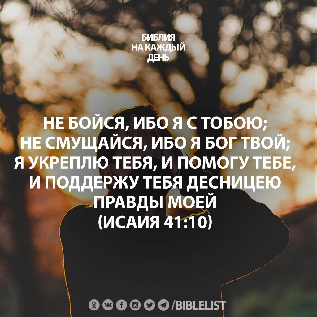 фанфик я твой бог фото 5