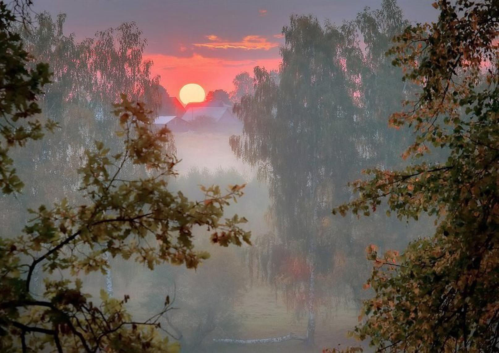 Будто утро. Утренняя Заря в деревне. Туман на заре живопись. Утренняя нега природа. Свежесть утренней зари.