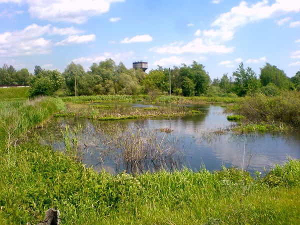 Реутов усад. Усад Кимрский район. Усад Городищи Владимирская область. Озеро Усад Кимрский район. Новый Усад Спасский район Нижегородская область.