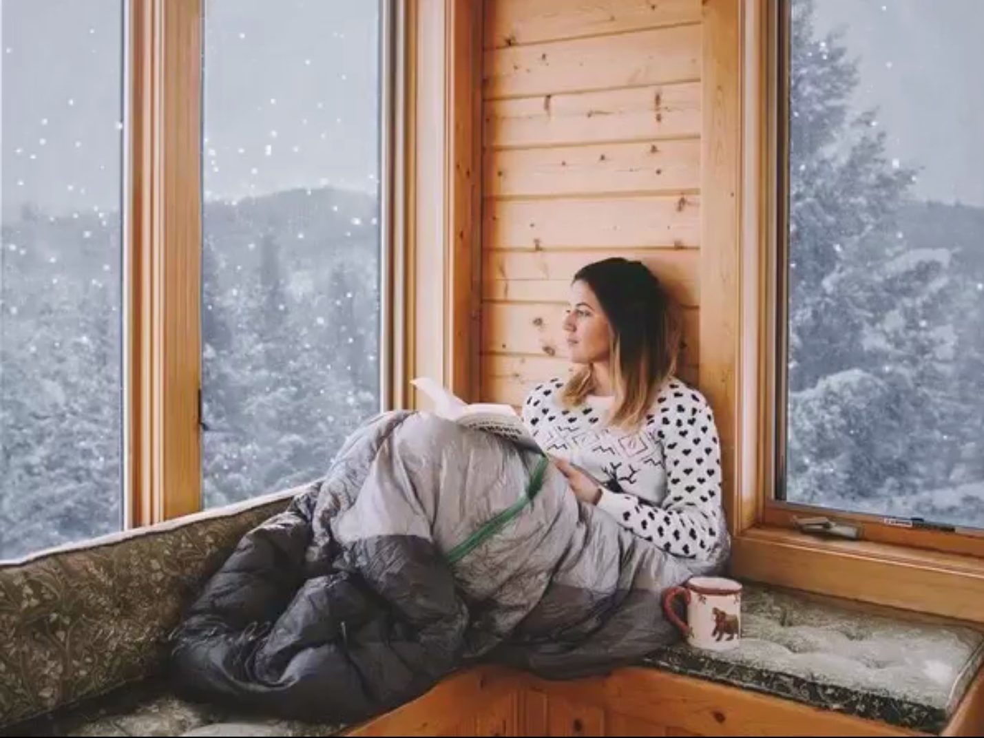 Девушка у окна зимние пейзажи